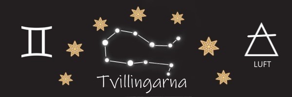 Tvillingarna