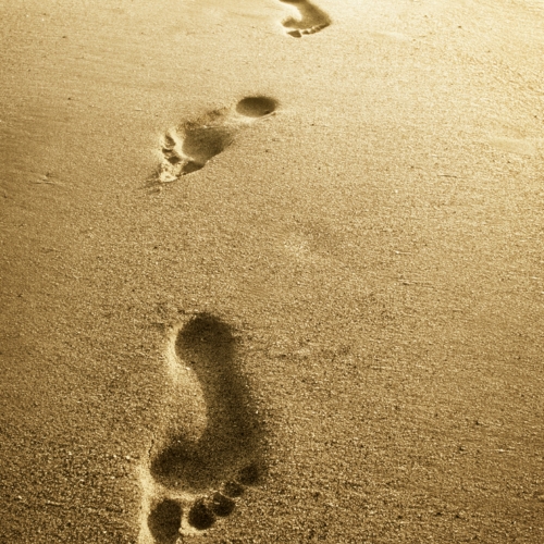 Walking meditation, meditera menar du promenerar eller går