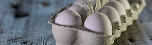 Ny studie visar ägg är nyttiga för överviktiga, fördiabetes, typ 2 diabetes