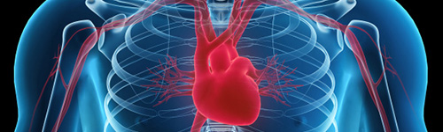 D-vitamin förbättrar hjärtfunktionen hos personer med kronisk hjärtsvikt