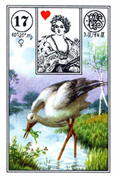 Lenormand: Storken