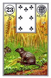 Lenormand: Mössen