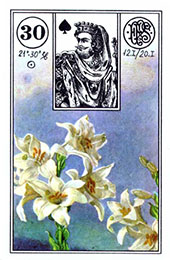 Lenormand: Liljan