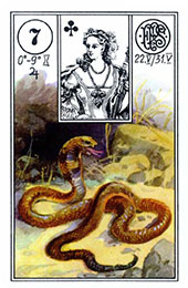 Lenormand: Ormen