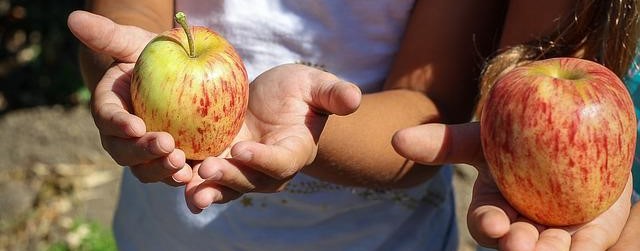 Ett sätt att minska typiska ADHD - symptom hos barn