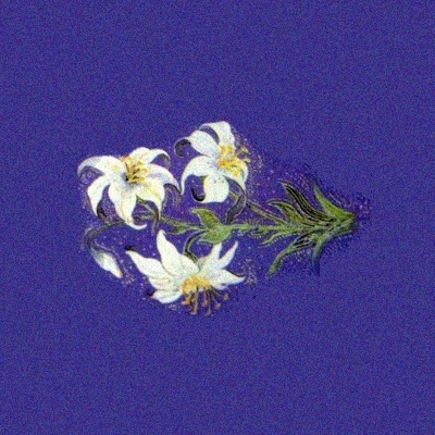 Liljorna