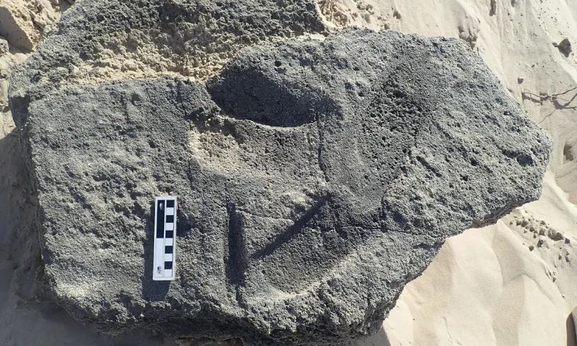 Forntida människor kan ha använt skor för 148 000 år sedan