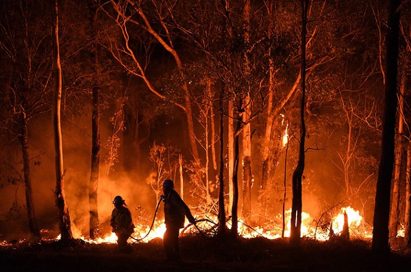 Forskning: Klimatförändringar gör skogsbränder allvarligare