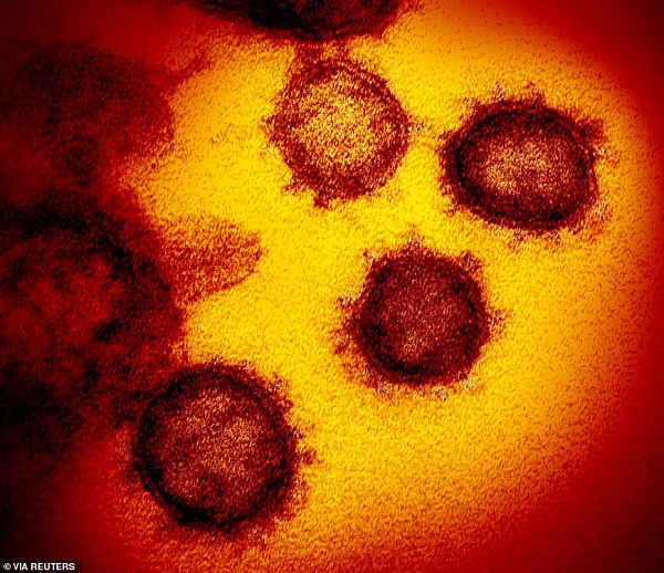 Isländska forskare hittar 40 öspecifika mutationer av coronaviruset