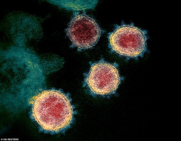 Isländska forskare hittar 40 öspecifika mutationer av coronaviruset