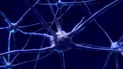 Psykedeliska droger kan hjälpa dina hjärnceller att bilda nya förbindelser