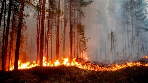 Varmare Arktis & stallad jetström bakom värmebölja över norra halvklotet